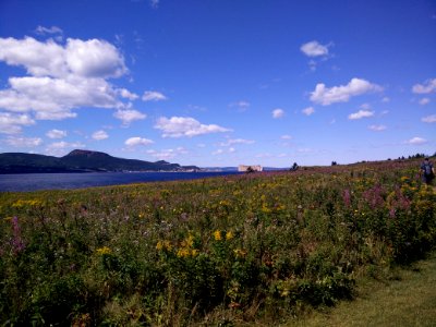 204 - Parc national de l'Île-Bonaventure-et-du-Rocher-Percé : Sentier Chemin-du-Roy