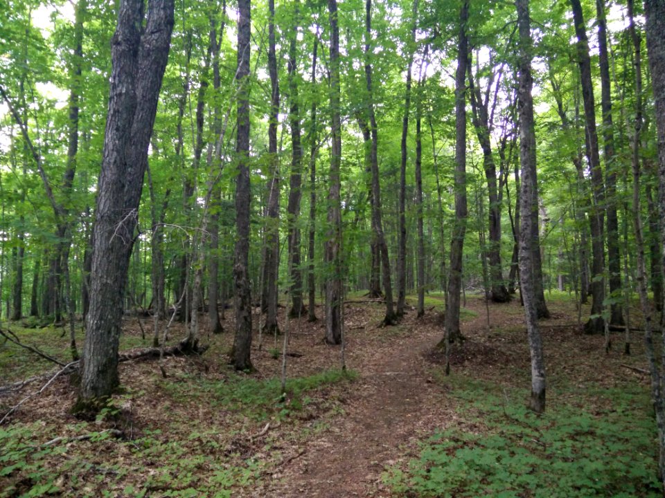 302 - Parc national du Lac-Temiscouata : Sentier Montagne-de-Chert
