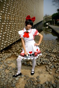 DSC08245