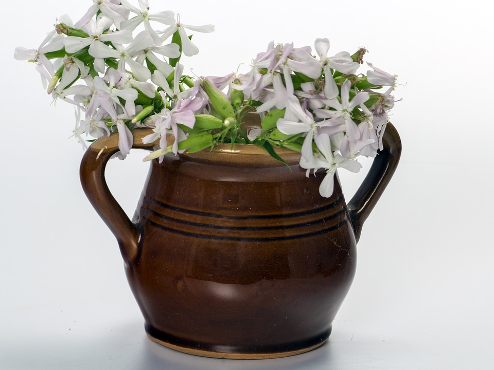 Krug beer stein brown
