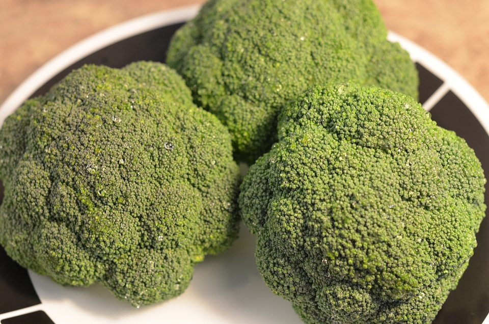 Healthy fresh green