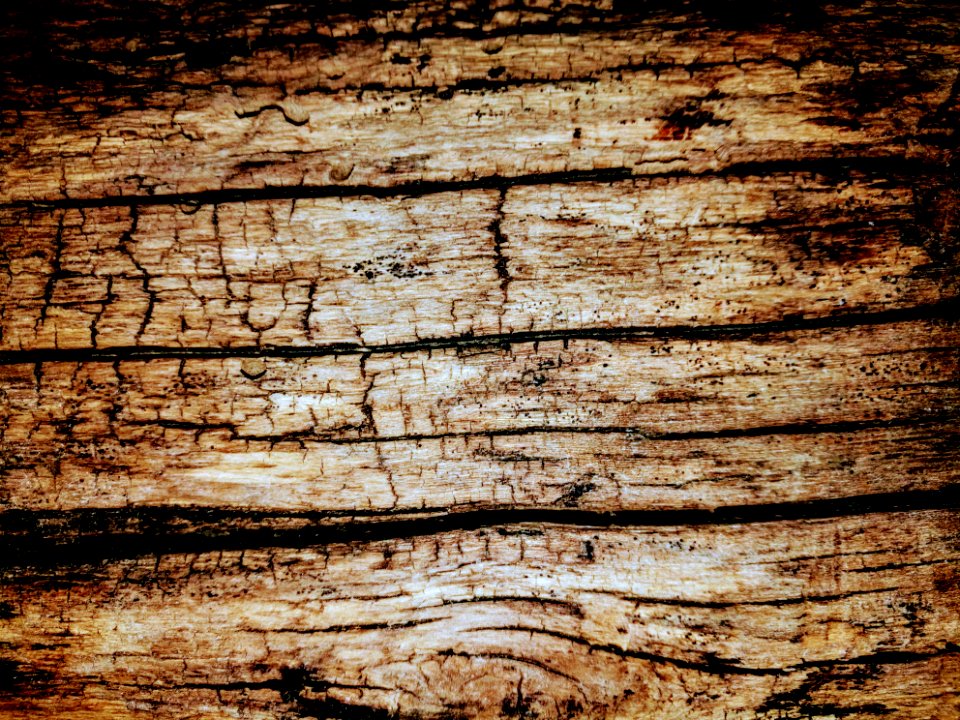 Old wood photo