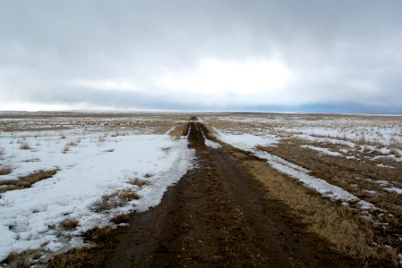DSC 0004