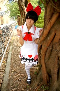 DSC08305