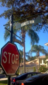 Egrets Run
