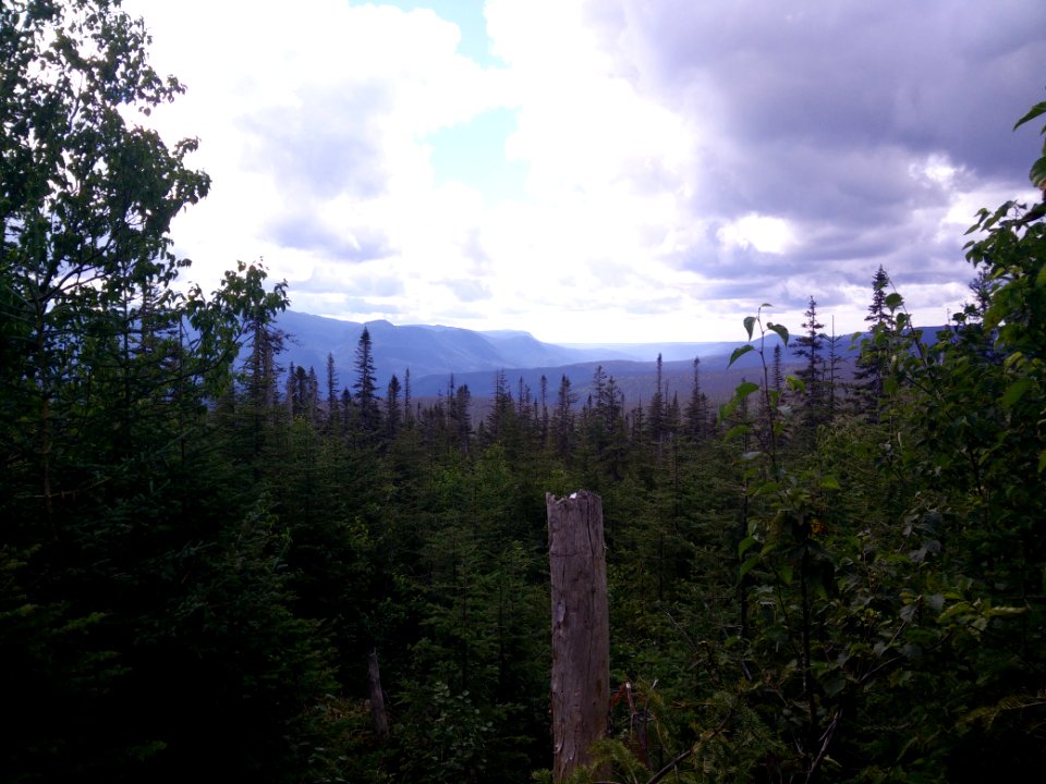 016 - Parc national de la Gaspésie : Mont Xalibu