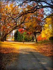 Spring Grove Cemetery in the Fall