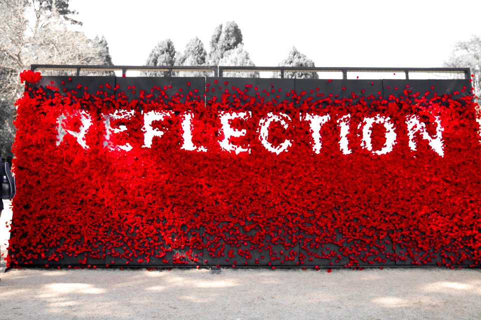 Reflection
