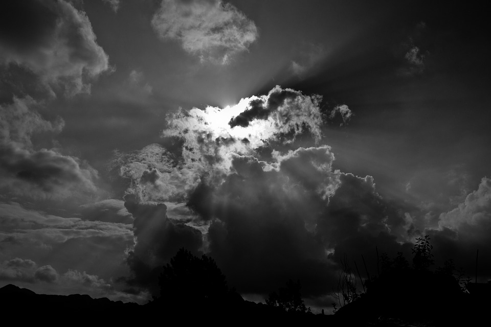 Light the light of the sun black and white