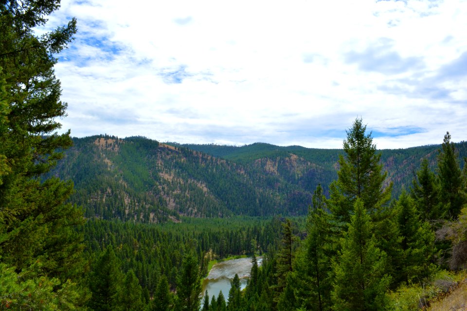 blackfoot5