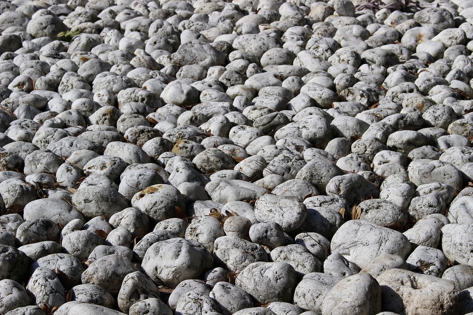 Pattern ground stone