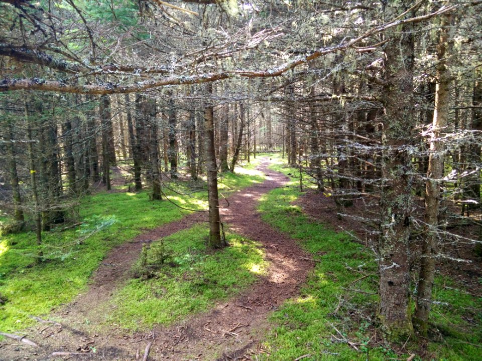 273 - Parc national du Bic