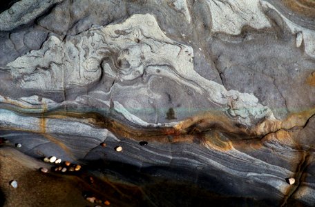 horse or dragon head on rock photo