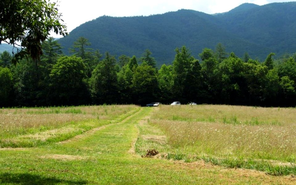 CadesCove LeQuireCemeteryOverlookandAdjacentField Site02.jpg