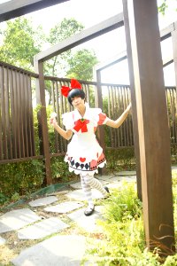 DSC08243