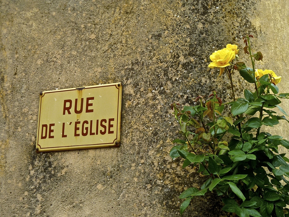 Wall symbol blossom