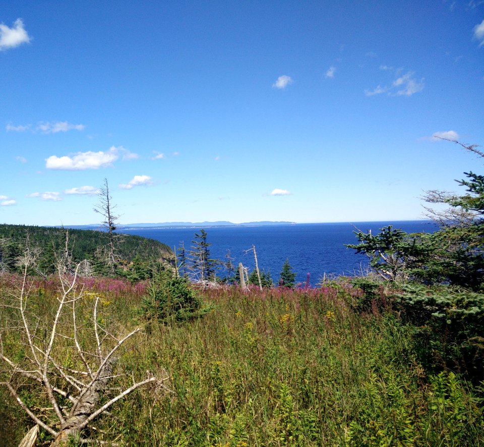 179 - Parc national de l'Île-Bonaventure-et-du-Rocher-Percé