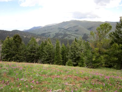 Ruby Mtn WSA