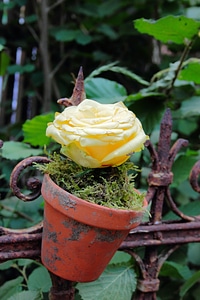 Rustic romantic eye catcher