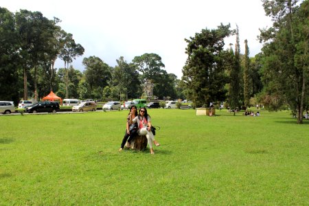 Kebun Raya Bedugul
