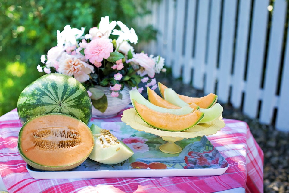 Honey dew summer sweet