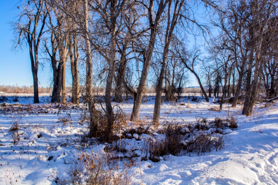 Sundance Lodge Recreation Area