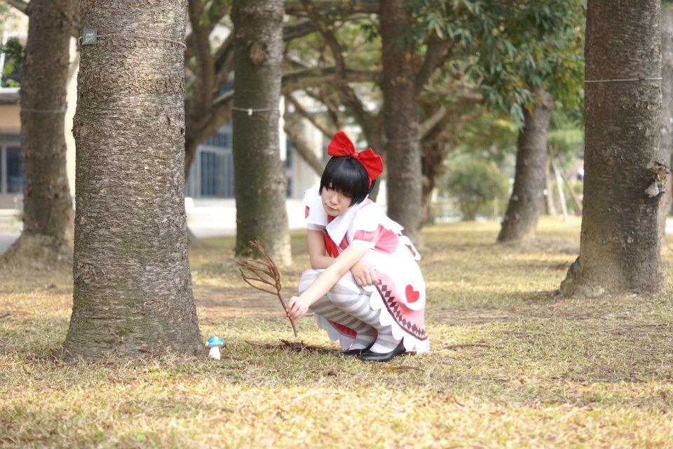 DSC04095