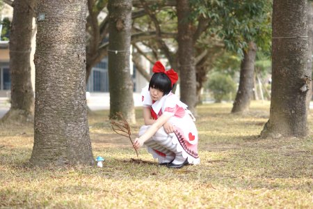 DSC04095