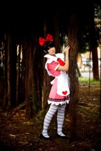 DSC04109