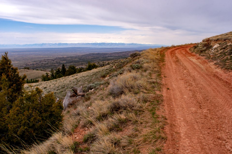 20200504 Pryor Mtns 175
