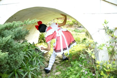 DSC08271