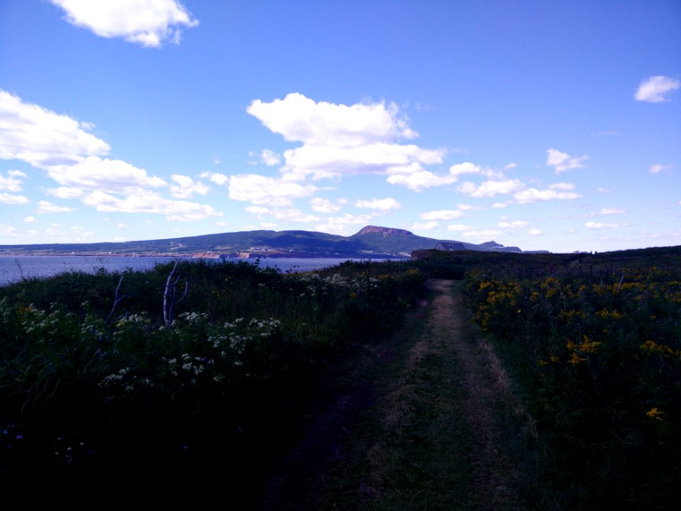 202 - Parc national de l'Île-Bonaventure-et-du-Rocher-Percé : Sentier Chemin-du-Roy