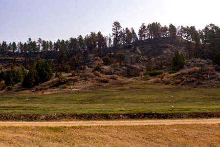Bobcat Fire 2020