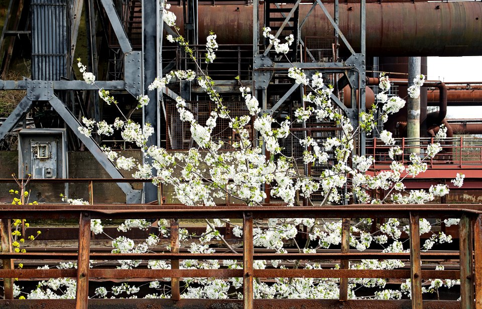 2016-04-14-010-Landschaftspark Duisburg-Nord