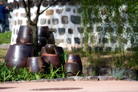 한국 전통 항아리 장독대 Korea traditional jar pots