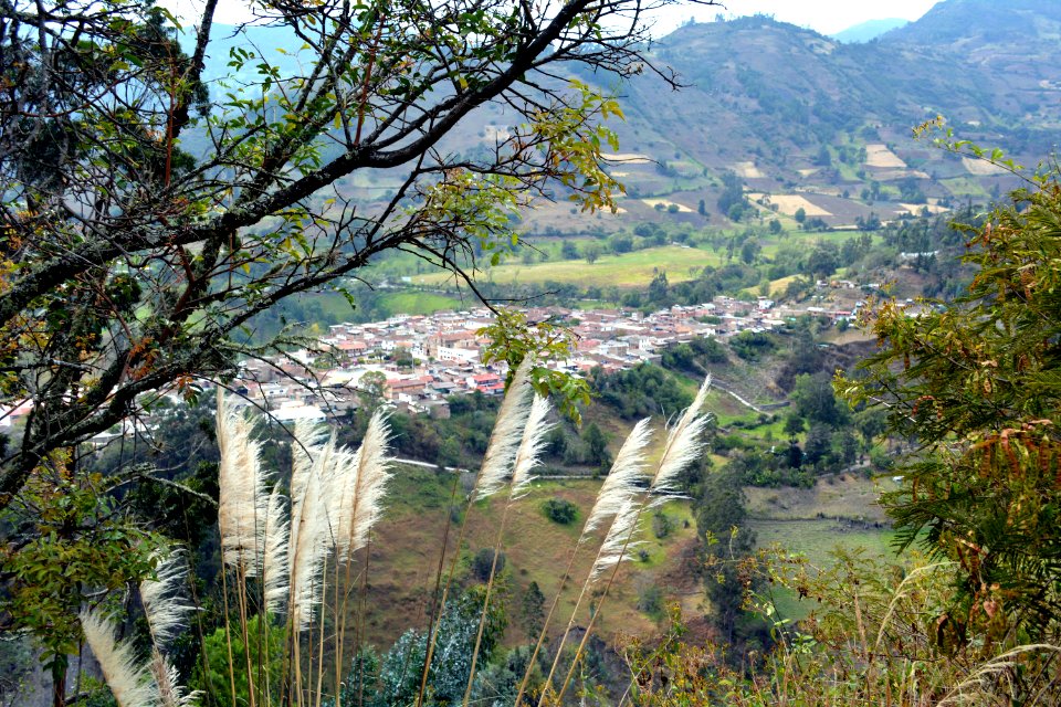 Chiscas
