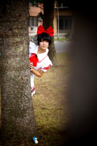 DSC04101