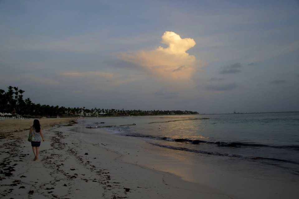 DSC 0224