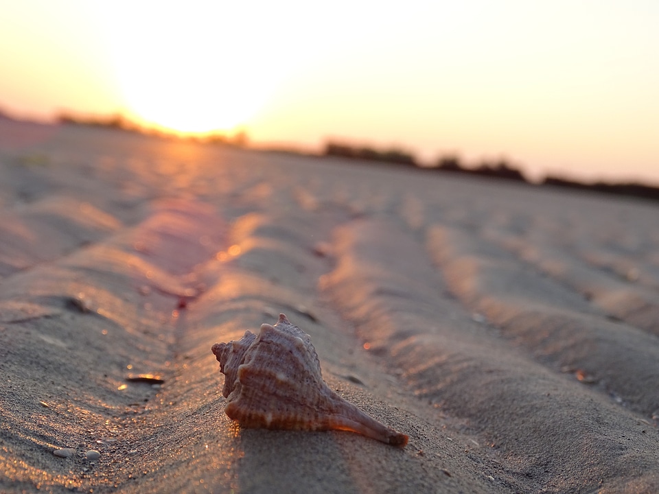 Summer sunrise beach