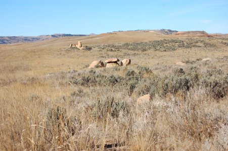 Spring Creek tour