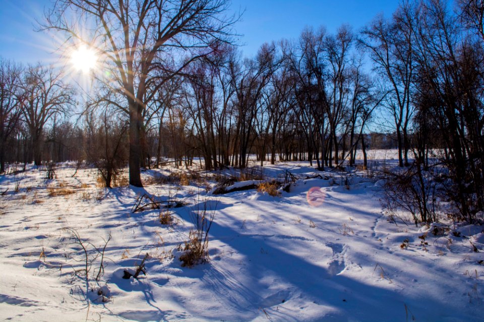 Sundance Lodge Winter 2017