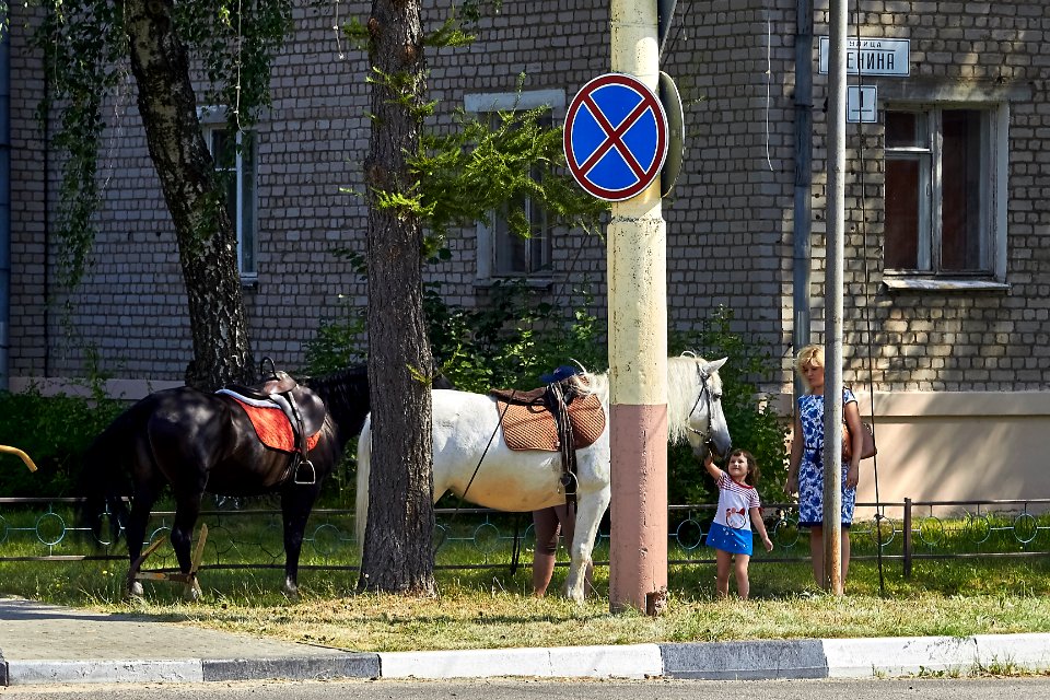 Traffic police does not work at all)))