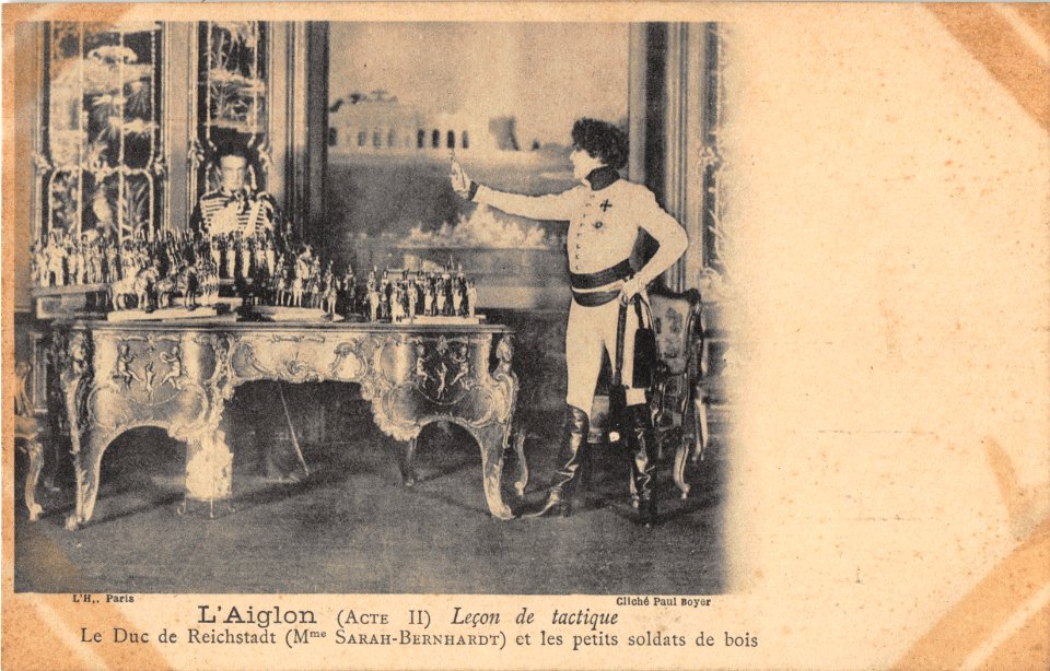 L'AIGLON - LECON DE TACTIQUE
