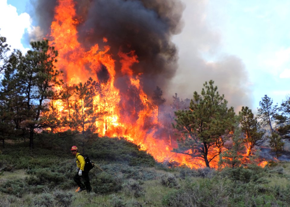 NEWS RELEASE BLM Central Montana Fire Zone Plans Prescribed Fire Projects 2017 PHOTO JC Moor