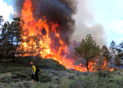 NEWS RELEASE BLM Central Montana Fire Zone Plans Prescribed Fire Projects 2017 PHOTO JC Moor