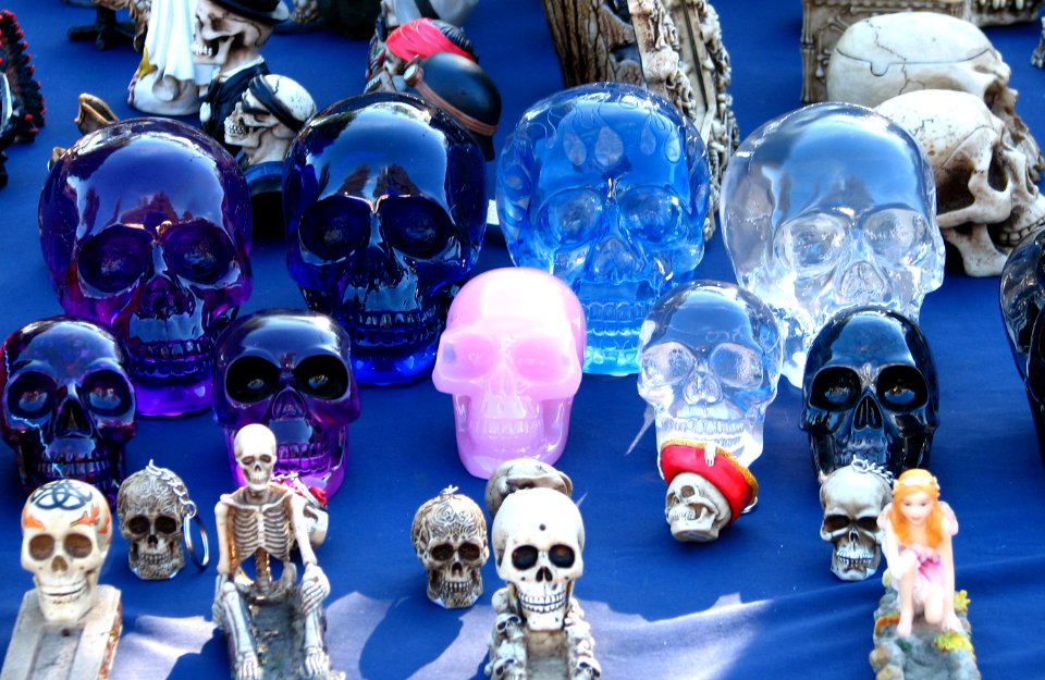 skull collection