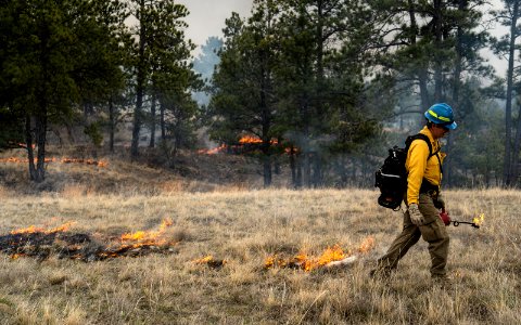 Kendall Coulee South Rx Fire photo