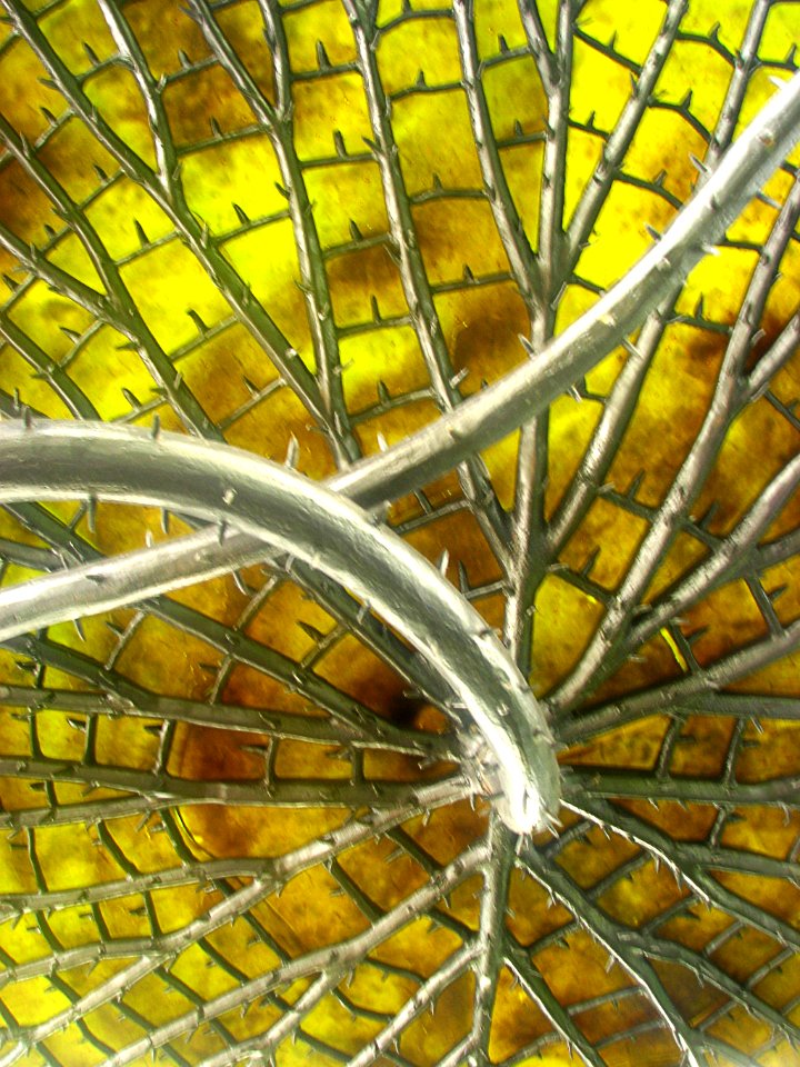yellow-and-silver design