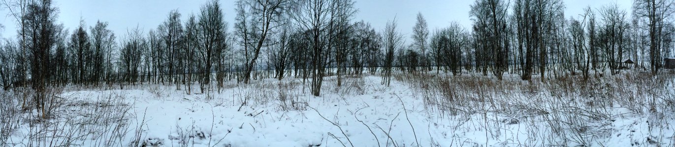 20160124 103112970 iOS