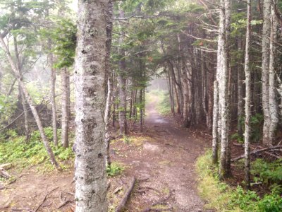 137 - Parc national Forillon : Sentier Les Graves